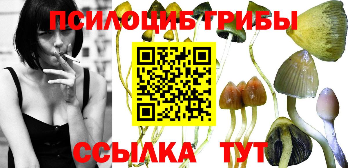 Псилоцибиновые грибы ЛСД  Вход с VPN  Белорецк 