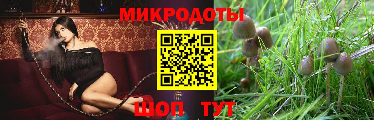 Псилоцибиновые грибы GOLDEN TEACHER Белорецк